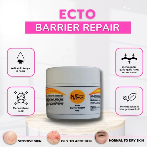 Ecto Barrier Repair3